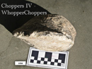 Choppers4 Lithics Intro